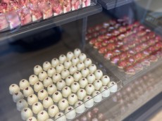 Oh Leonie- feine Patisserie