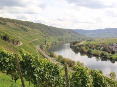 Weingut F-J Regnery