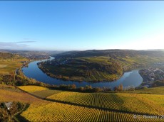 Weingut Hubertus M. Apel