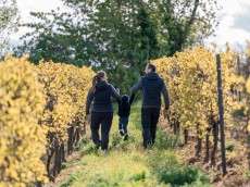 Weingut Schur