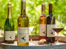 Weingut Landmann