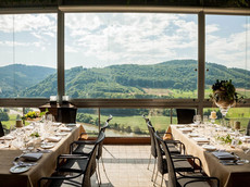 Weingut Schloss Saarstein