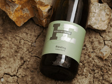 Weingut Hofmeister & Einsfeld