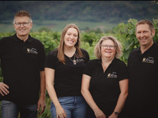 Weingut Walter Krebs