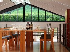 Fellbacher Weingärtner eG