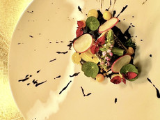 Masa Japanese Cuisine