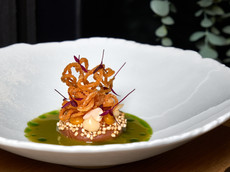 Teko by Lange Rodriguez