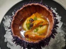 Bar Olio