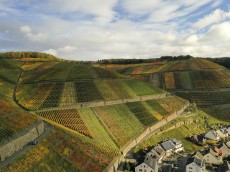 Weingut Bertram- Baltes