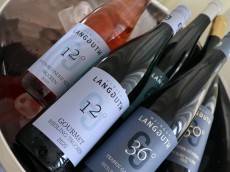 Weingut Ulrich Langguth