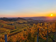 Weingut Schnaitmann
