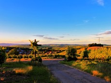 BioWeingut Gänz