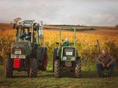 Weingut Seehof Familie Fauth