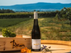 Weingut Braun GbR