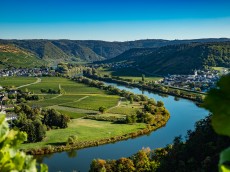 Weingut Lorenz