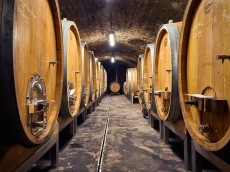 Weingut Andres