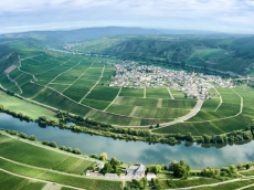 Weingut Josef Rosch