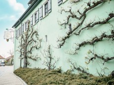 Landgasthof Adler