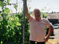 Weingut Schloss Saarstein