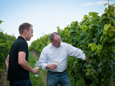 Weingut Fritzsch & Sohn