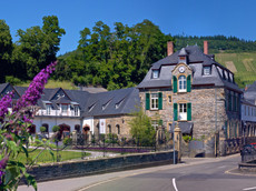 Weingut Schloss Lieser – Thomas Haag