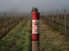 Weingut Geheimer Rat Dr. von Bassermann-Jordan