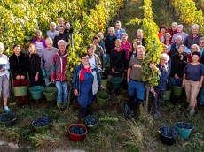 Weingut Schnaitmann