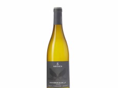 Weingut Siegloch