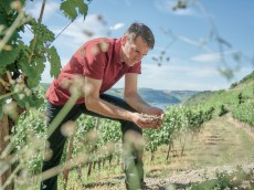 Weingut Lorenz