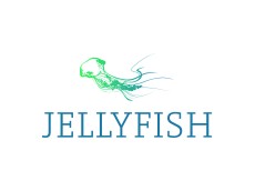 Jellyfish by Stefan Fäth