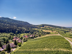 Privat-Weingut Schlumberger-Bernhart