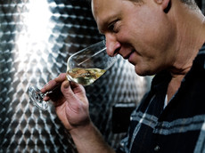 Weingut Ulrich Langguth