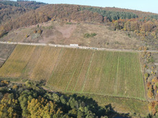 Weingut Sorentberg