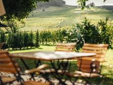 Weingut Nik Weis - St. Urbans-Hof