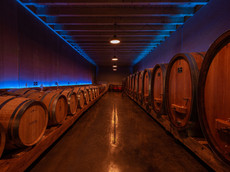 Weingut Franz Herbster