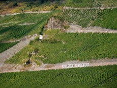 Weingut Schloss Lieser – Thomas Haag