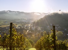 Weingut Freiherr von und zu Franckenstein
