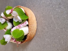 Förster Max - Eisdiele, Patisserie & Stadtteilacfé