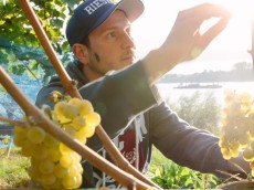 Weingut Jakob Jung