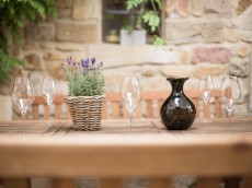 Weingut Mario Zelt