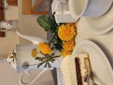 Café Löwenzahn