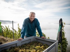 Weingut Nik Weis - St. Urbans-Hof