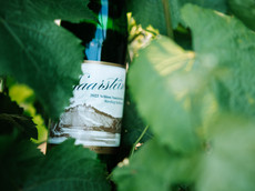 Weingut Schloss Saarstein