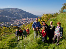 Weingut Adam Müller
