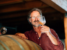 Weingut Thomas Harteneck