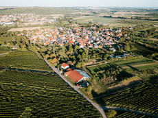 Weingut Finkenauer-Franz