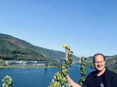 Weingut Ulrich Langguth