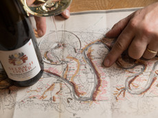 Weingut Selbach-Oster