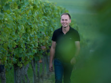 Weingut Fritzsch & Sohn