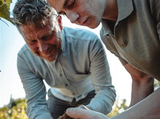 SANDER ökologische Weine